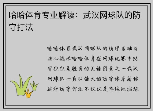 哈哈体育专业解读：武汉网球队的防守打法