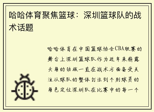 哈哈体育聚焦篮球：深圳篮球队的战术话题