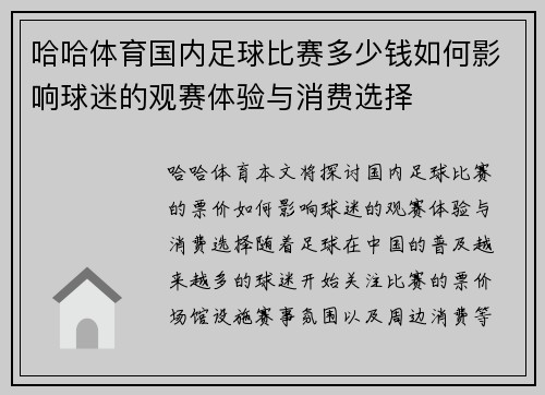 哈哈体育国内足球比赛多少钱如何影响球迷的观赛体验与消费选择